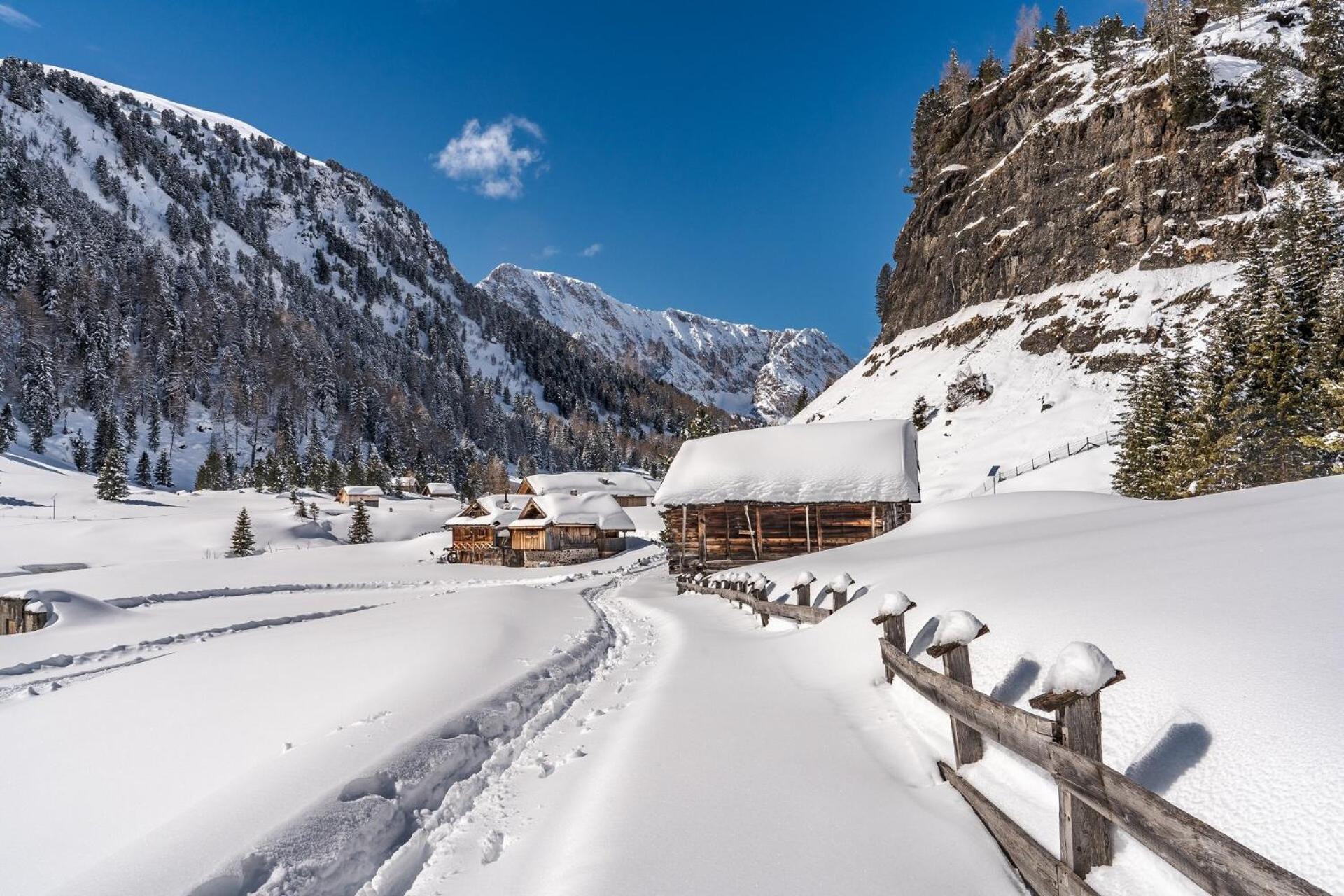 Appartamenti Cesa Col De Pin Canazei Esterno foto