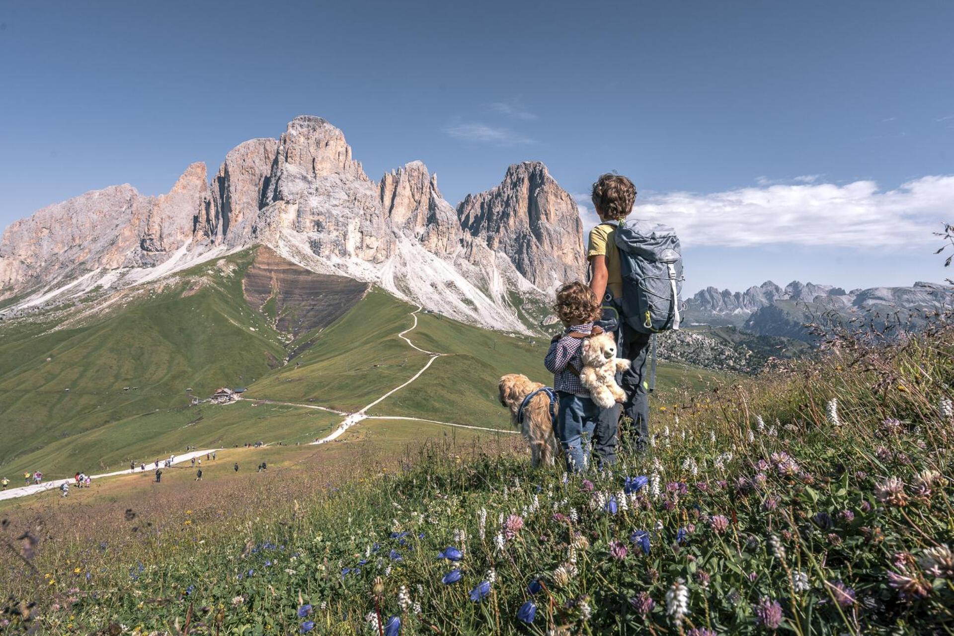 Appartamenti Cesa Col De Pin Canazei Esterno foto